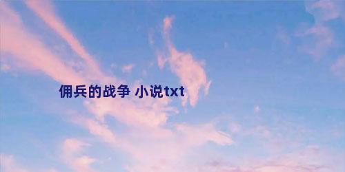 佣兵的战争 小说txt